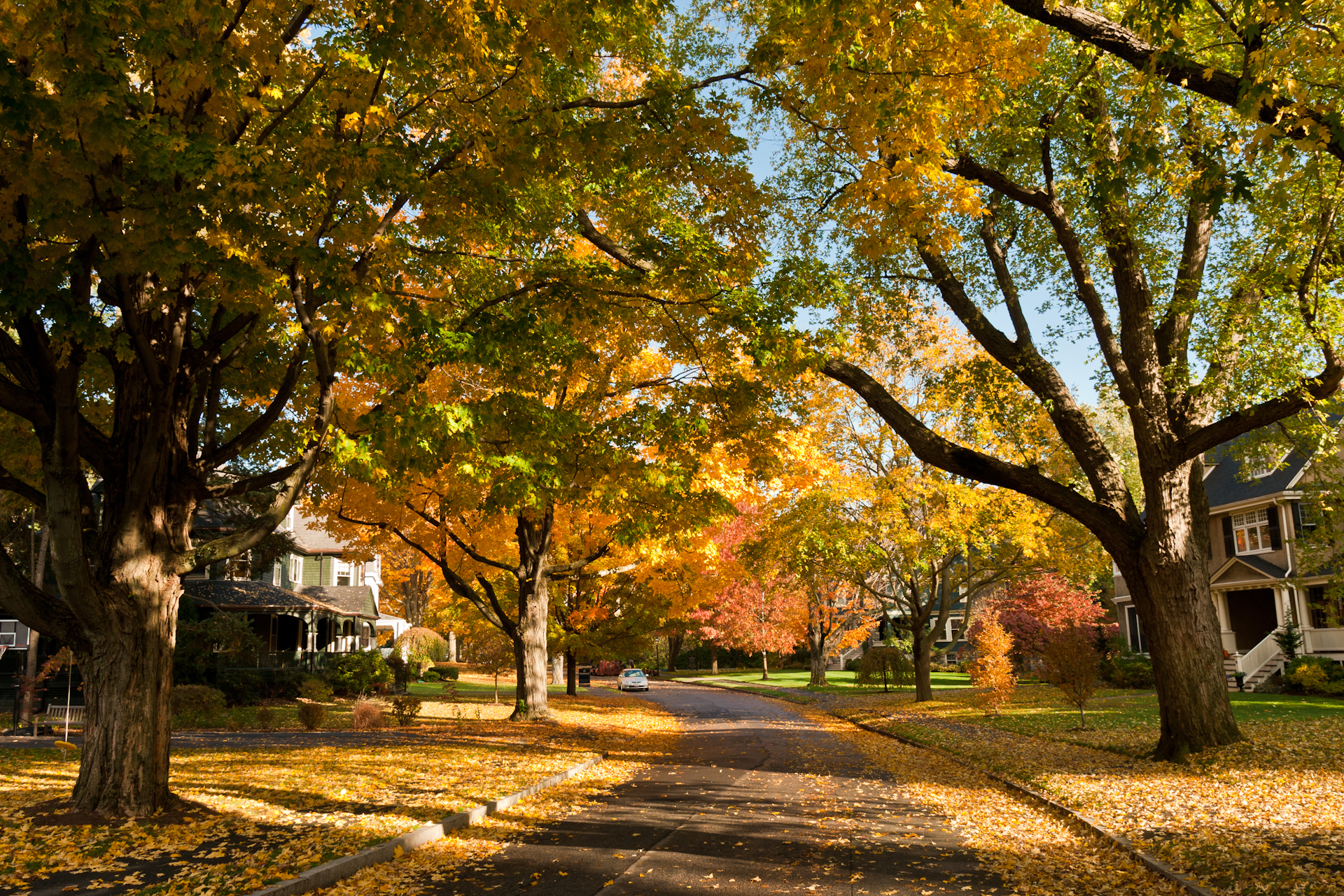 Panoramic Image of Newton, MA